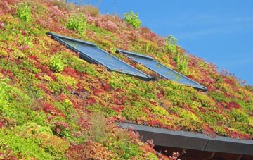Harkstead living roof systems