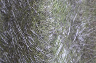 Harkstead fibreglass roof work